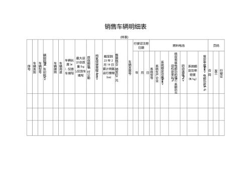 销售车辆明细表.docx