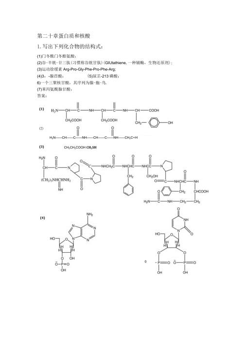 第二十章蛋白质和核酸.docx