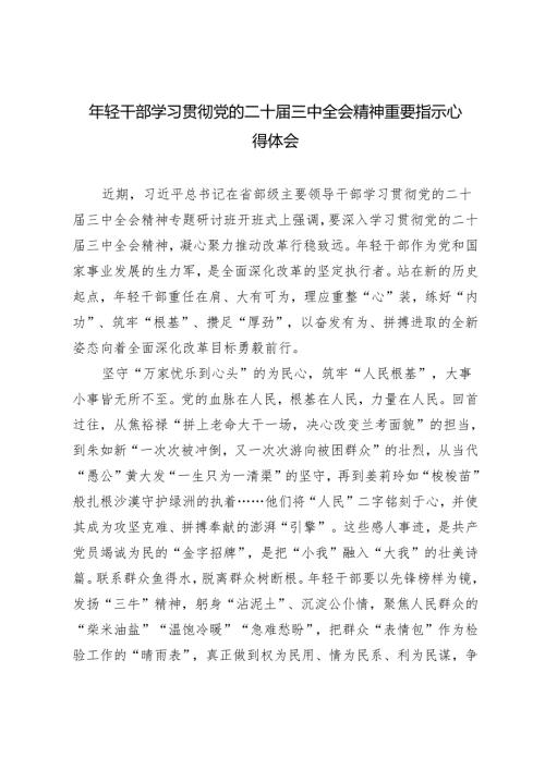 年轻干部学习贯彻党的二十三中全会精神重要指示心得体会.docx