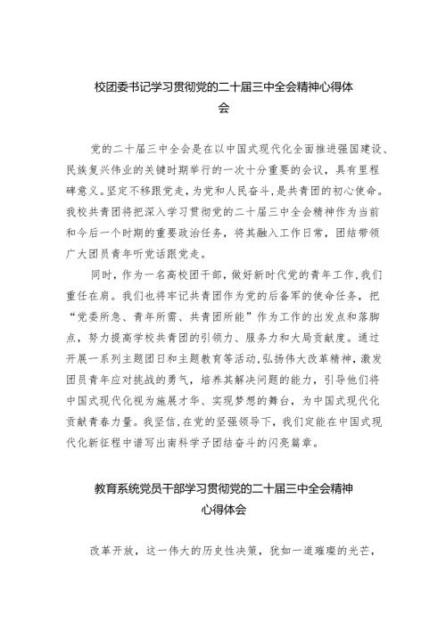 校团委书记学习贯彻党的二十三中全会精神心得体会8篇（精选版）.docx