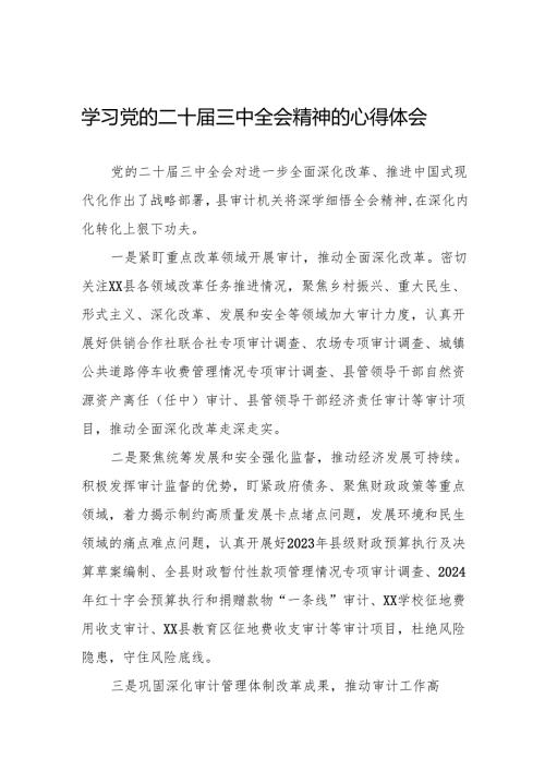 学习贯彻2024年二十三中全会精神心得感悟精品模板32篇.docx