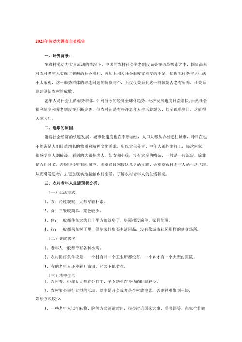 2025年劳动力调查自查报告.docx