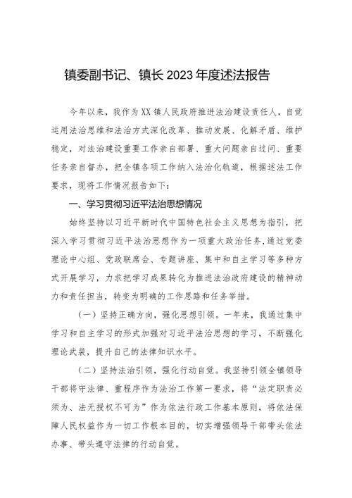 镇委副书记镇长2023述法报告五篇.docx