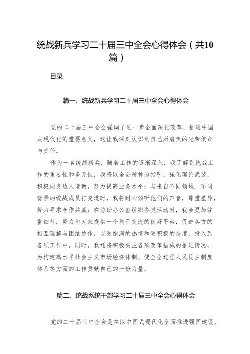 （10篇）统战新兵学习二十三中全会心得体会范文.docx