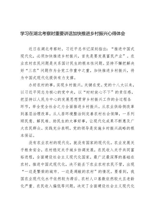 3篇 学习2024年在湖北考察时重要讲话加快推进乡村振兴心得体会.docx