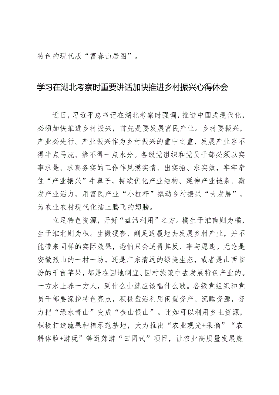 3篇 学习2024年在湖北考察时重要讲话加快推进乡村振兴心得体会.docx_第3页