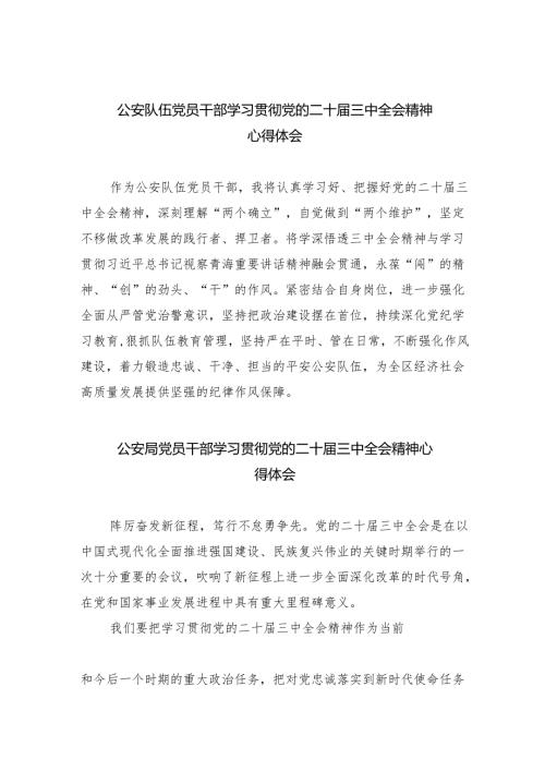 公安队伍党员干部学习贯彻党的二十三中全会精神心得体会8篇（详细版）.docx