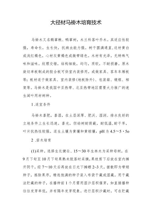 大径材马褂木培育技术.docx