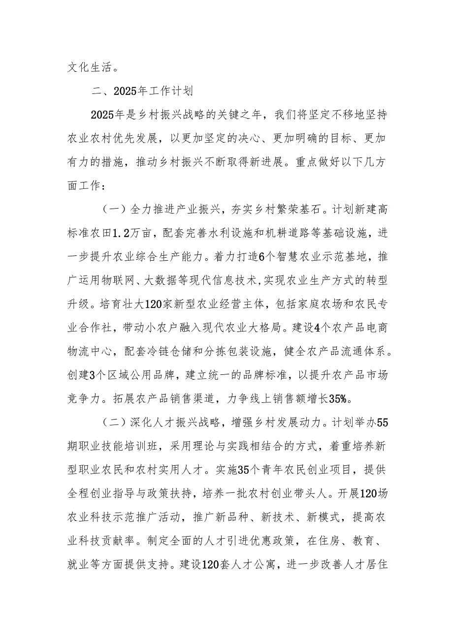 2024年乡村振兴总结.docx_第3页