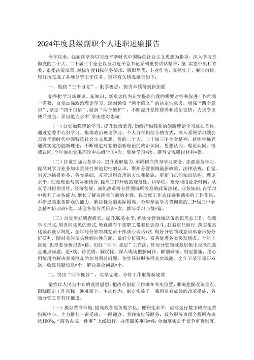 2024县级副职个人述职述廉报告.docx