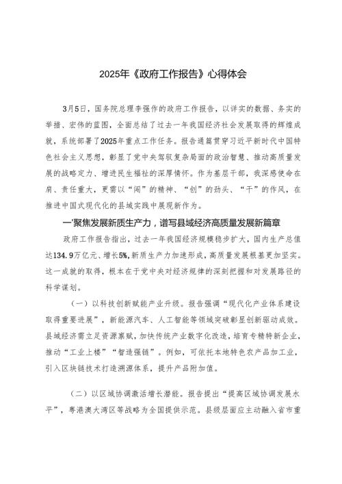 3篇 2025年《政府工作报告》心得体会.docx