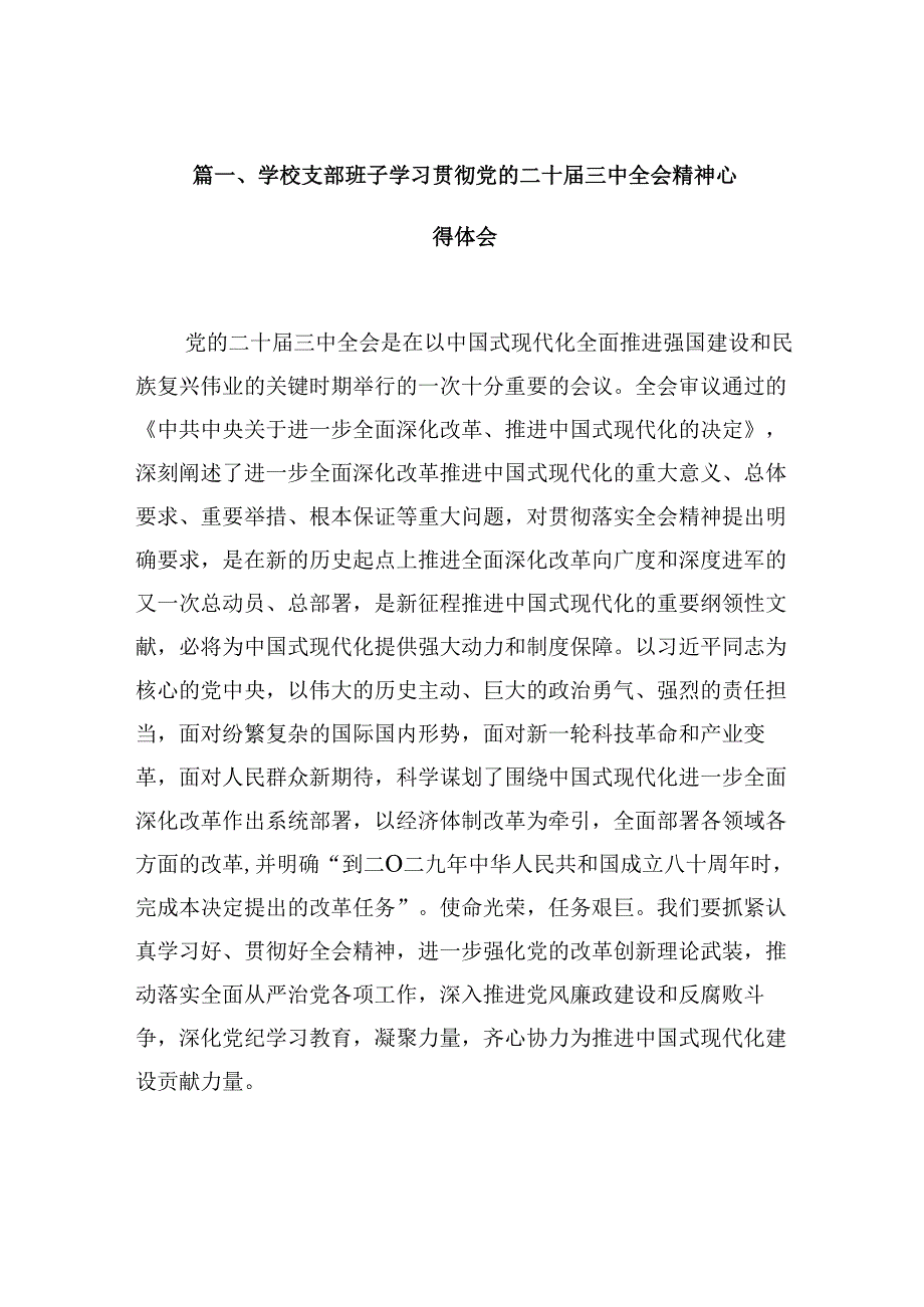（10篇）学校支部班子学习贯彻党的二十三中全会精神心得体会范文.docx_第2页