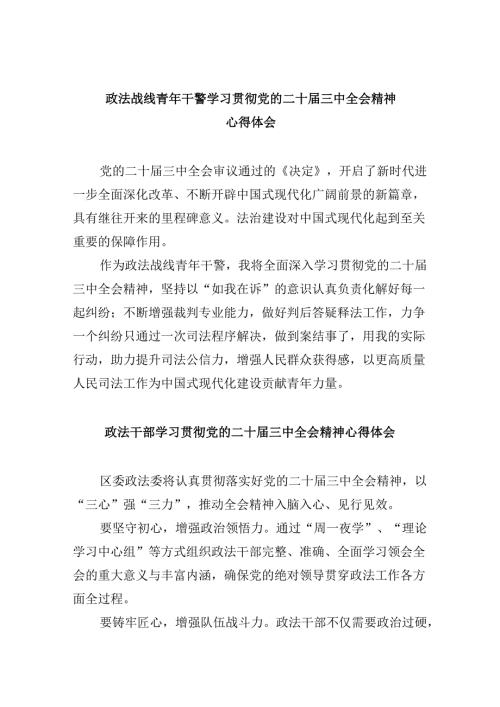 政法战线青年干警学习贯彻党的二十三中全会精神心得体会8篇（精选）.docx