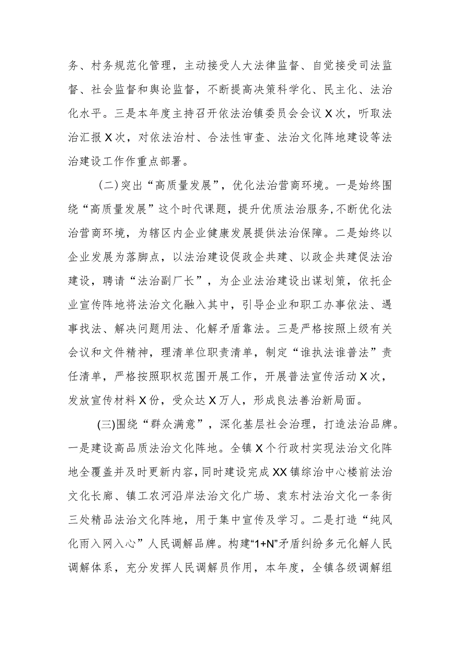 镇委书记2023述法报告.docx_第2页