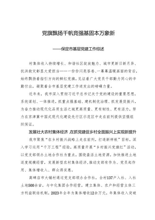 专项工作总结∣基层党建：20240628党旗飘扬千帆竞 强基固本万象新——保定市基层党建工作综述.docx