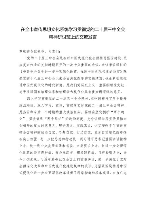 2024年在全市宣传思想文化系统学习党的二十三中全会精神研讨班上的交流发言.docx