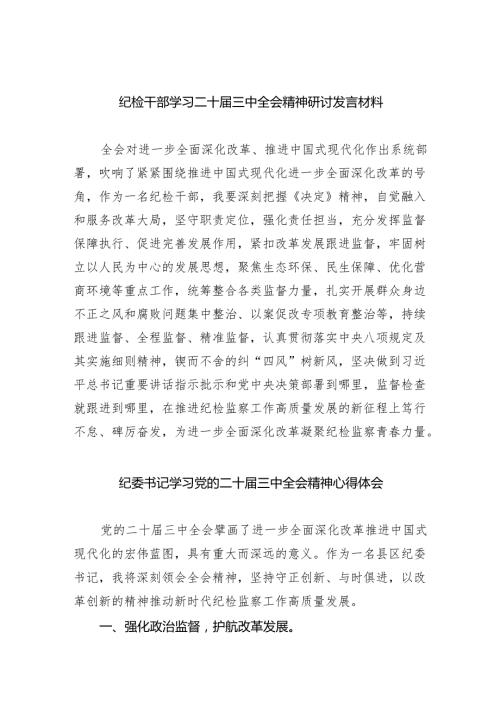 （9篇）纪检干部学习二十三中全会精神研讨发言材料（精选）.docx