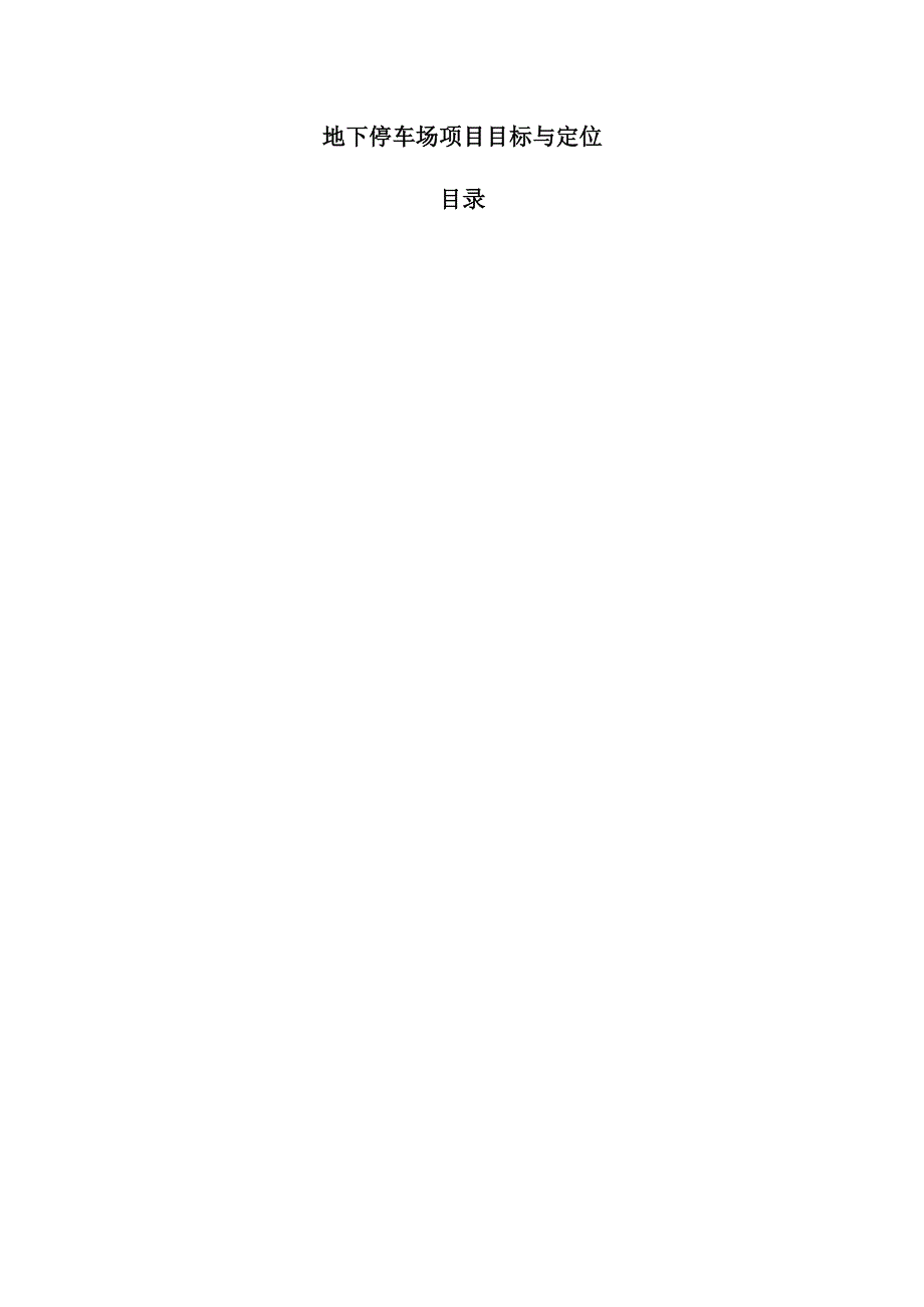 地下停车场项目目标与定位.docx_第1页
