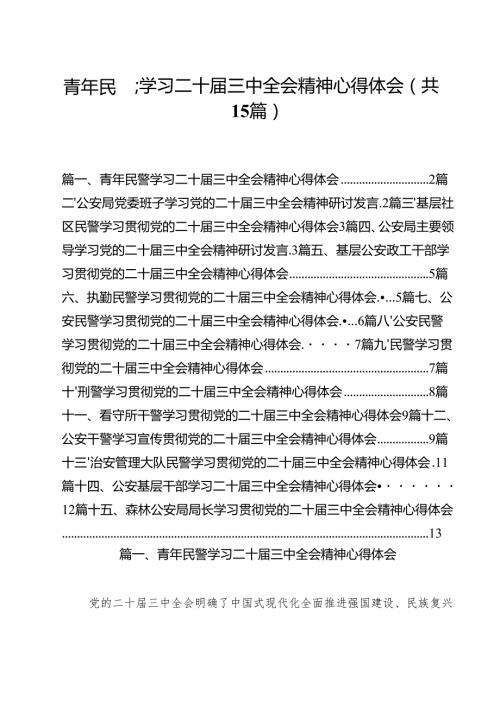 青年民警学习二十三中全会精神心得体会（共15篇）.docx