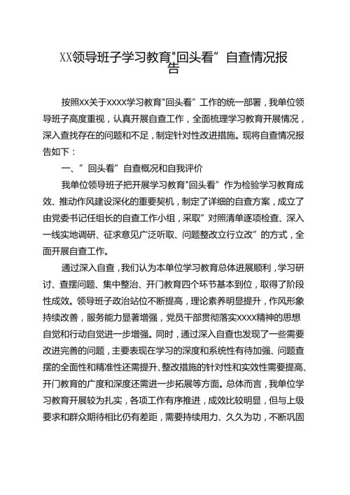 2025年”回头看”自查情况报告5个合集.docx
