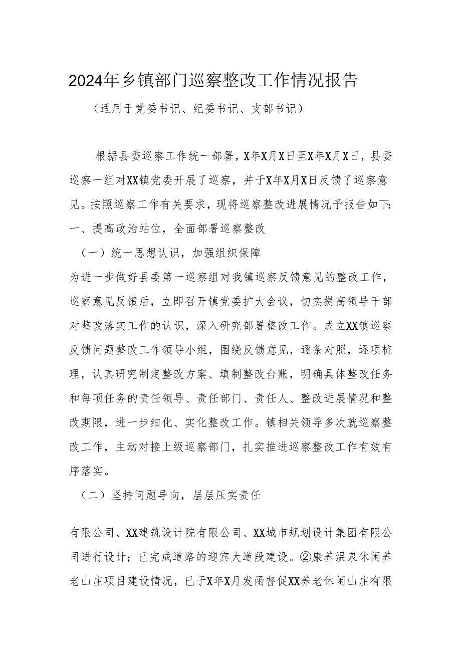 2024年乡镇部门巡察整改工作情况报告.docx_第1页
