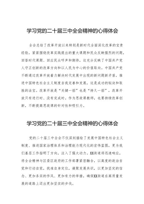 学习贯彻2024年党的二十三中全会精神心得体会32篇.docx
