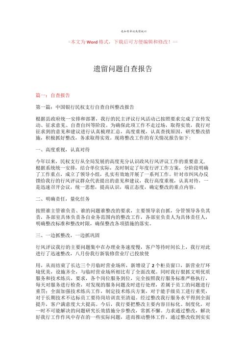 【最新文档】遗留问题自查报告实用word文档 (9页).docx