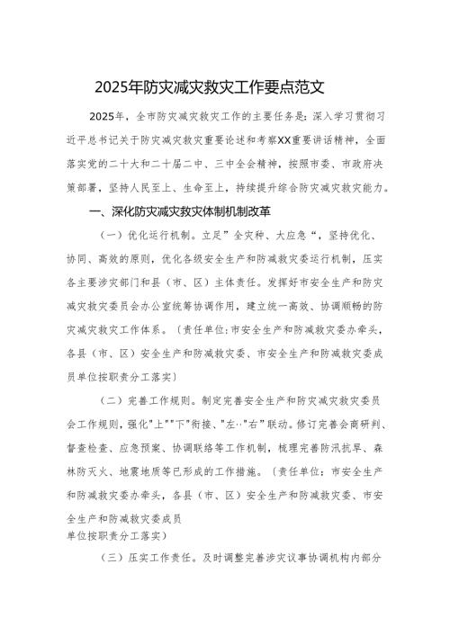 2025年防灾减灾救灾工作要点范文.docx