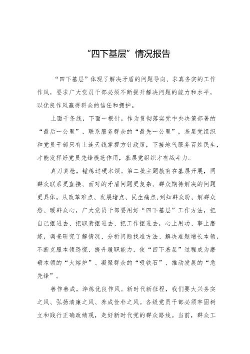 十二篇践行“四下基层”情况报告.docx