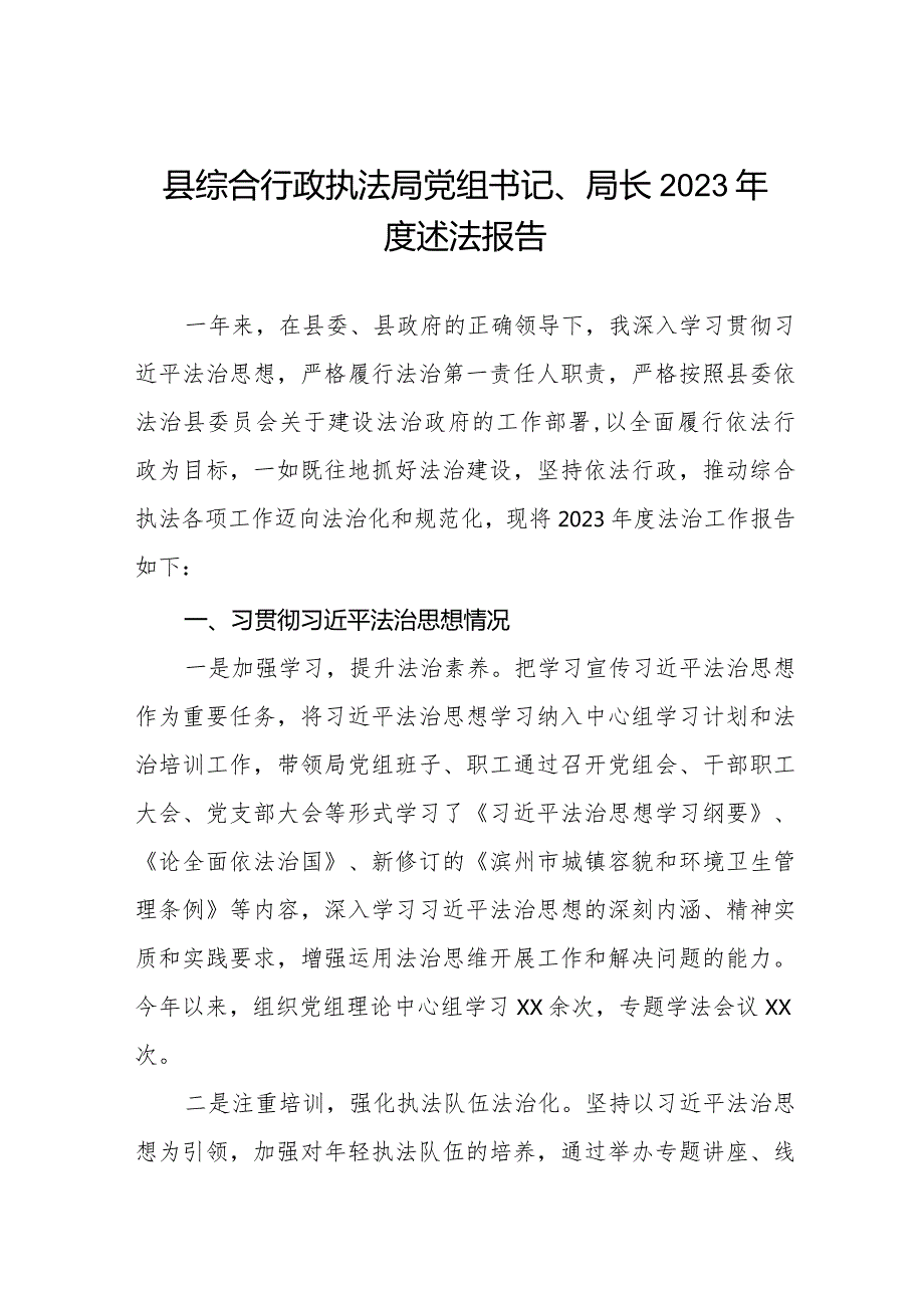 县综合行政执法局党组书记、局长2023述法报告.docx_第1页
