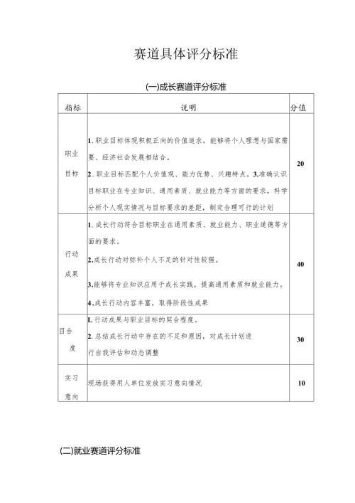 赛道具体评分标准.docx