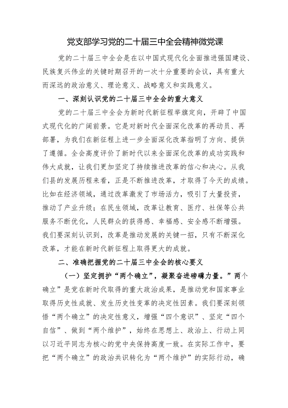 党支部书记学习党的二十三中全会精神微党课讲稿2篇.docx_第2页