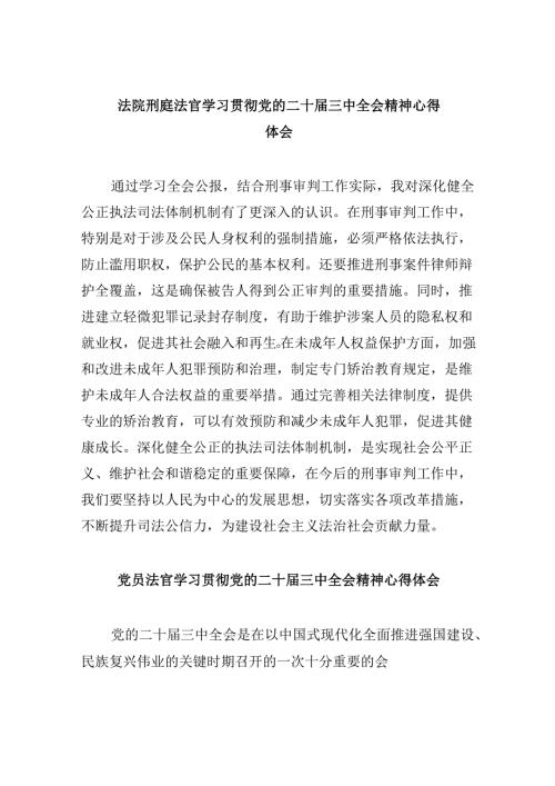（11篇）法院刑庭法官学习贯彻党的二十三中全会精神心得体会（精选）.docx