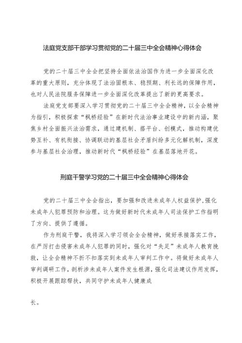 法庭党支部干部学习贯彻党的二十三中全会精神心得体会（共七篇）.docx