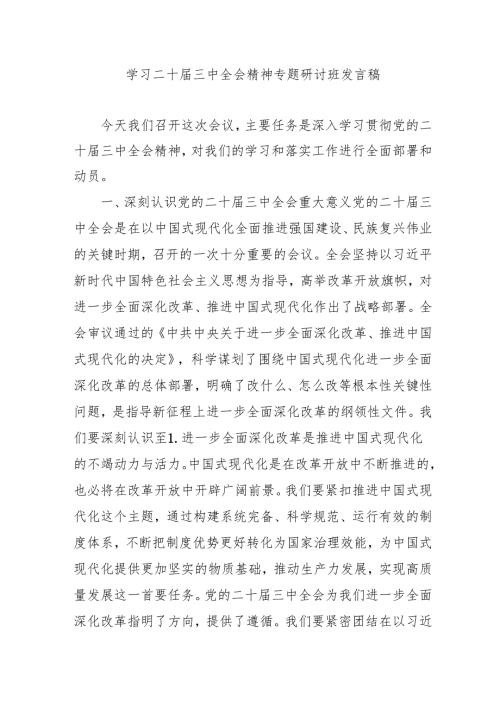 2024年开展学习二十三中全会精神专题研讨班发言稿(2).docx