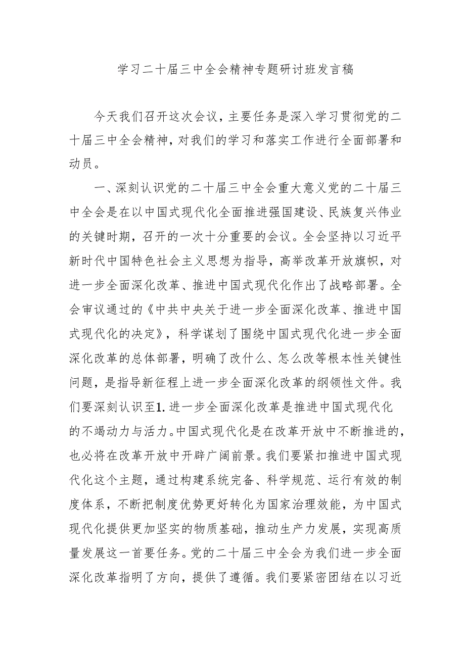 2024年开展学习二十三中全会精神专题研讨班发言稿(2).docx_第1页