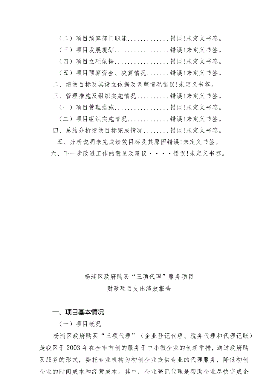财政项目支出绩效报告(1).docx_第2页