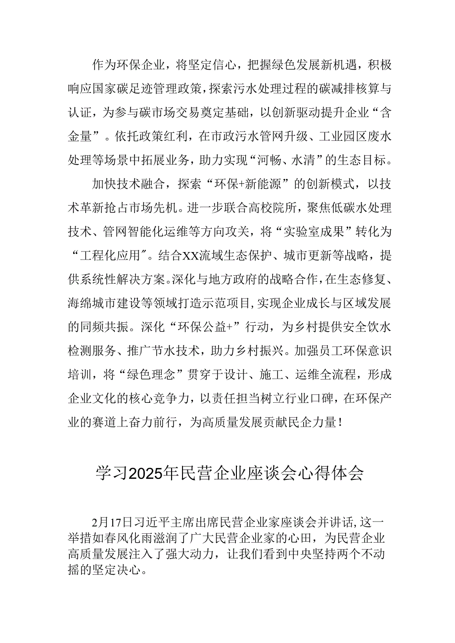 2025年私营企业学习《民营企业座谈会》个人心得感悟 汇编11份.docx_第2页