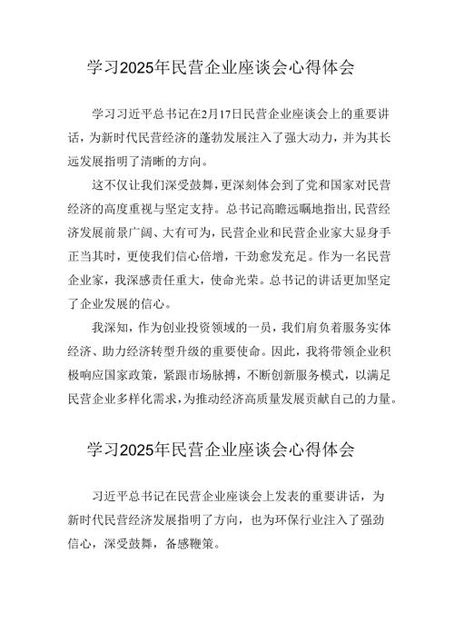 2025年私营企业学习《民营企业座谈会》个人心得感悟 汇编11份.docx