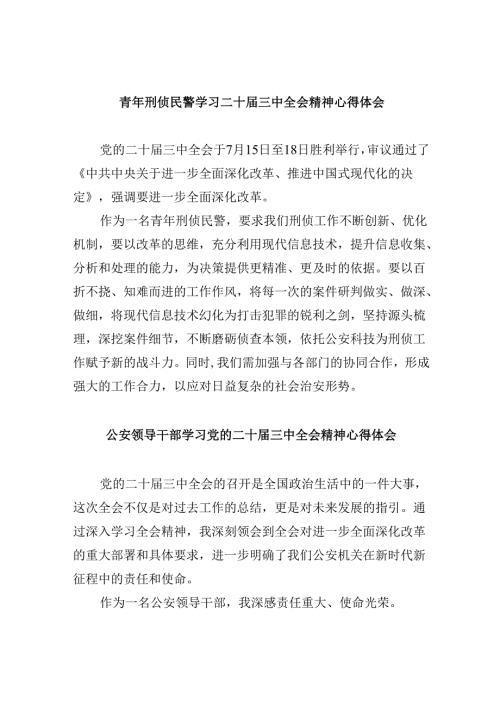 （11篇）青年刑侦民警学习二十三中全会精神心得体会集合.docx
