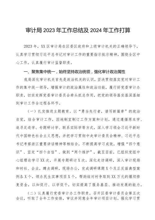 区审计局2023年工作总结及2024年工作打算四篇.docx