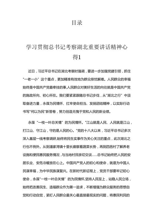 学习贯彻总书记考察湖北重要讲话精神心得.docx
