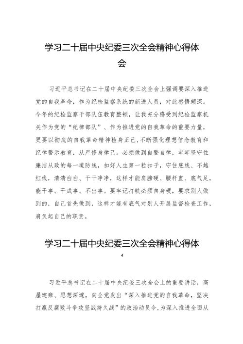 学习贯彻二十中央纪委三次全会精神心得体会精选合集二十篇.docx