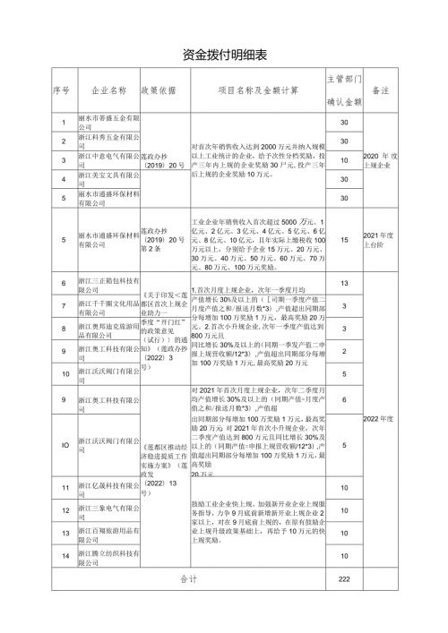 资金拨付明细表.docx