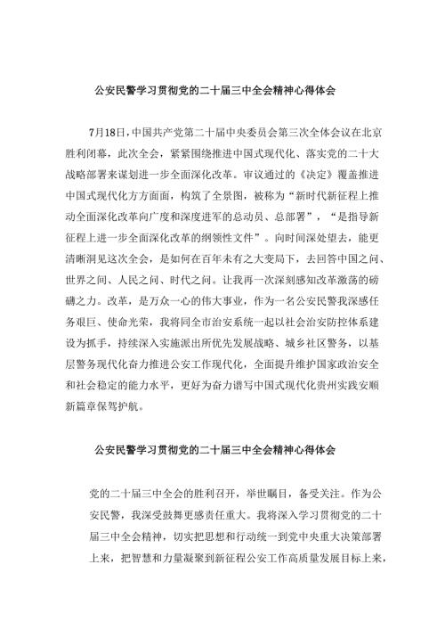 （11篇）公安民警学习贯彻党的二十三中全会精神心得体会参考范文.docx