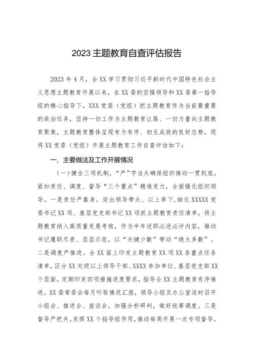 主题教育开展情况的自查评估报告.docx