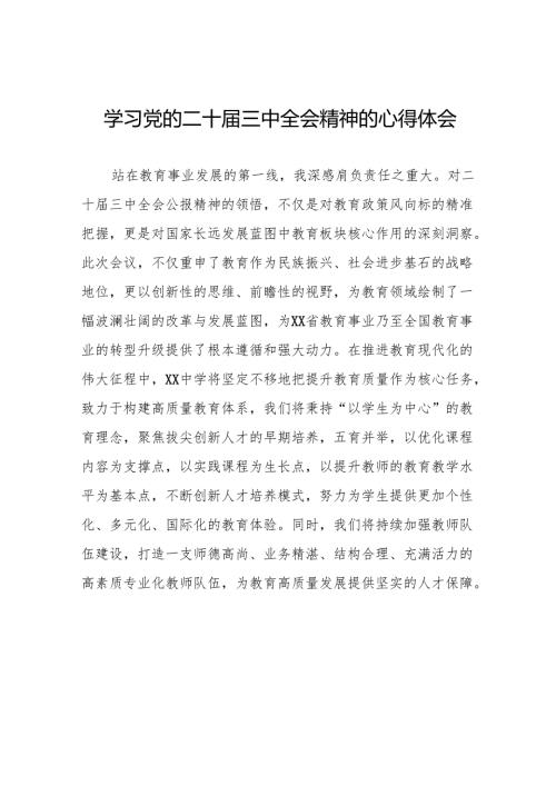 学习贯彻2024年二十三中全会精神心得感悟研讨发言32篇.docx