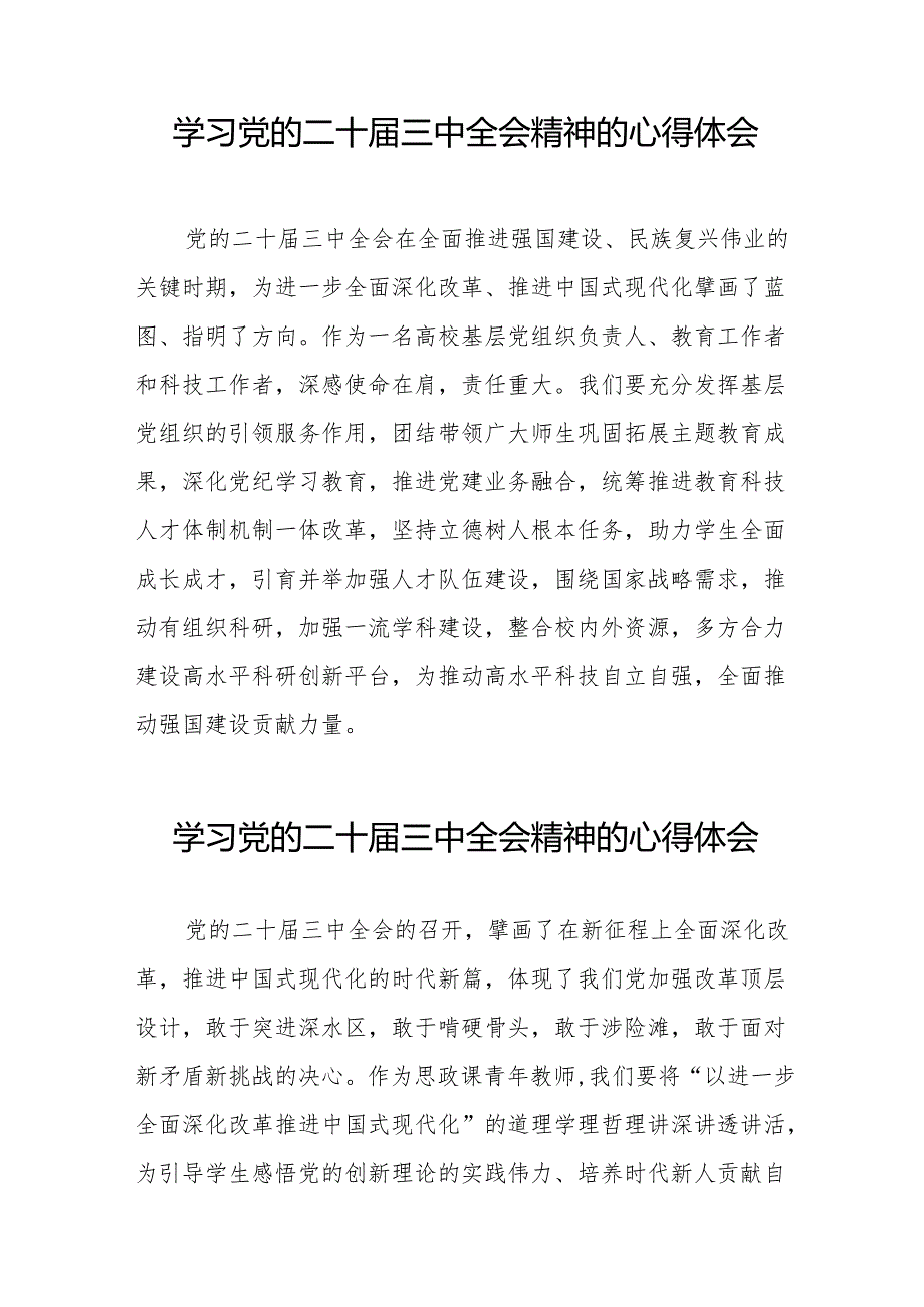 学习贯彻2024年二十三中全会精神心得感悟研讨发言32篇.docx_第2页