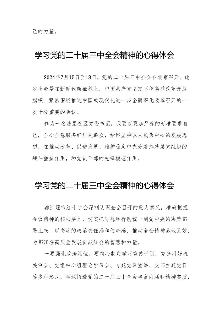 学习贯彻2024年二十三中全会精神心得感悟研讨发言32篇.docx_第3页