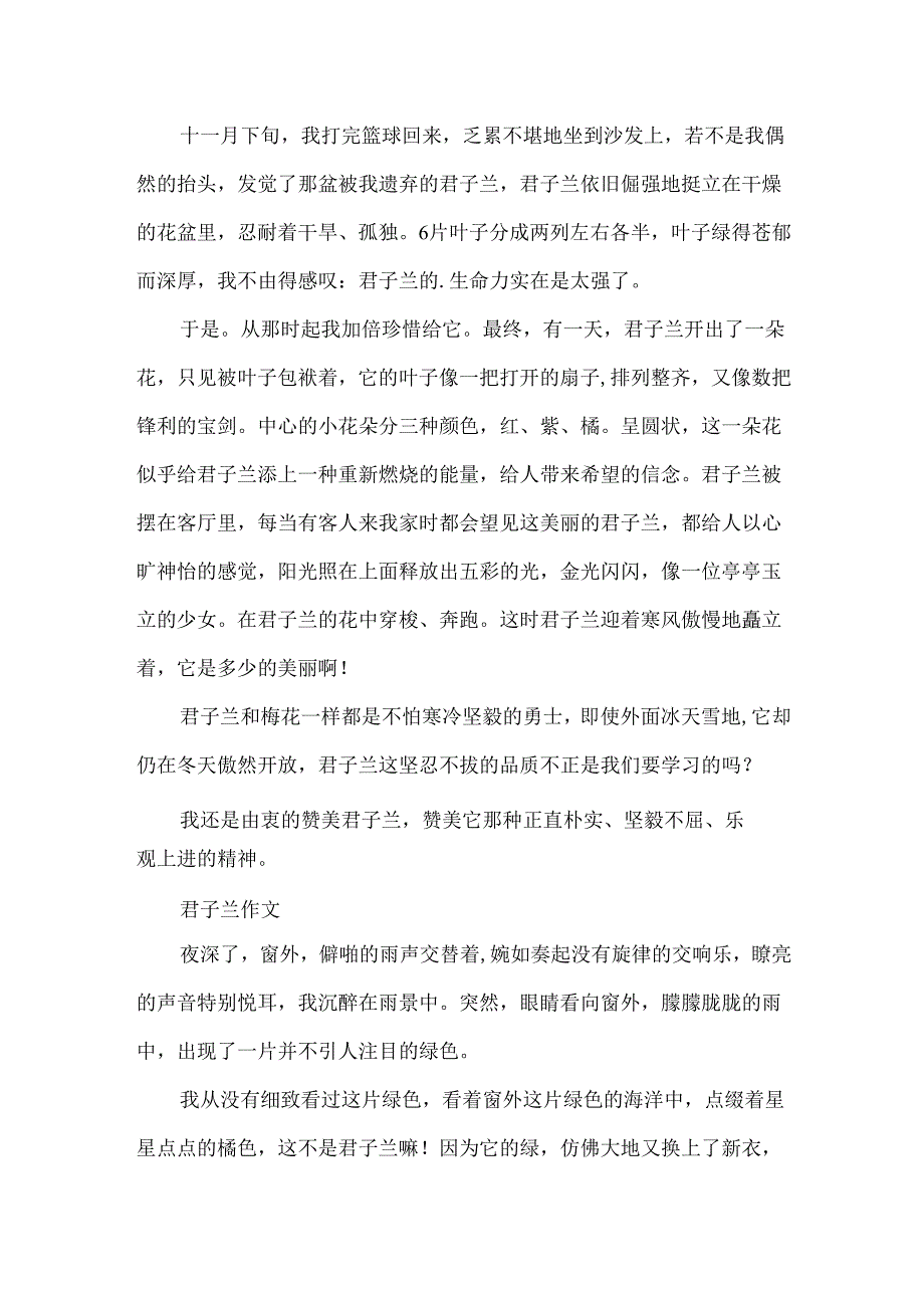 描写君子兰的作文分享.docx_第3页